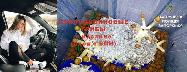 ПСИЛОЦИБИНОВЫЕ ГРИБЫ Балахна