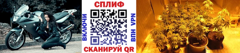 Канабис конопля  где купить наркоту  Лихославль 